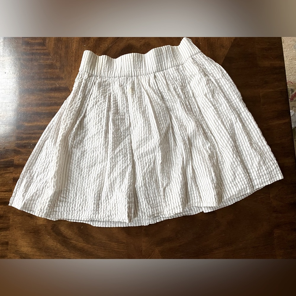 Club Monaco skirt